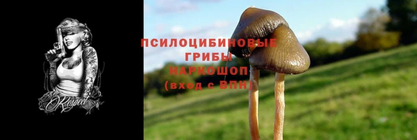 бутират Ельня