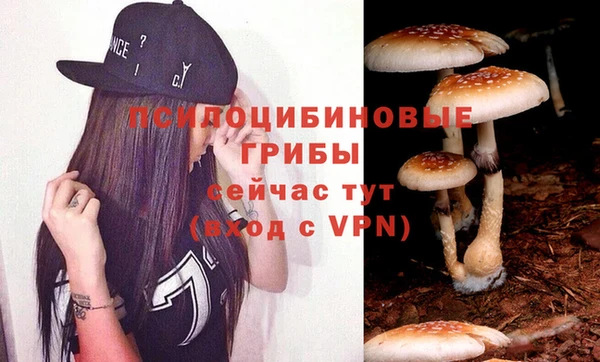 бутират Ельня
