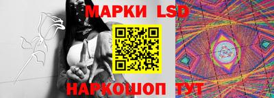 спайс Гатчина