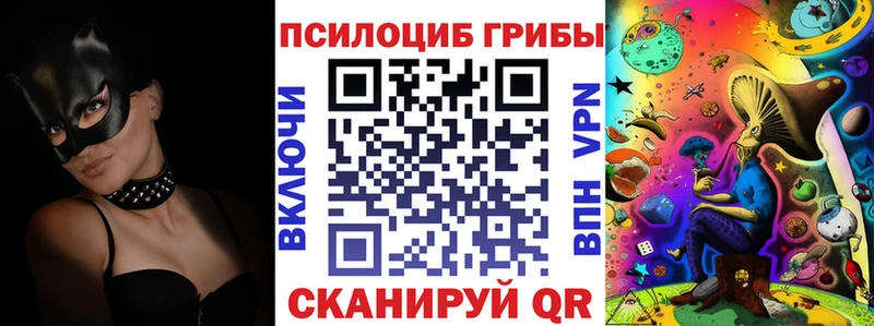 цена   Рязань  Псилоцибиновые грибы мухоморы 