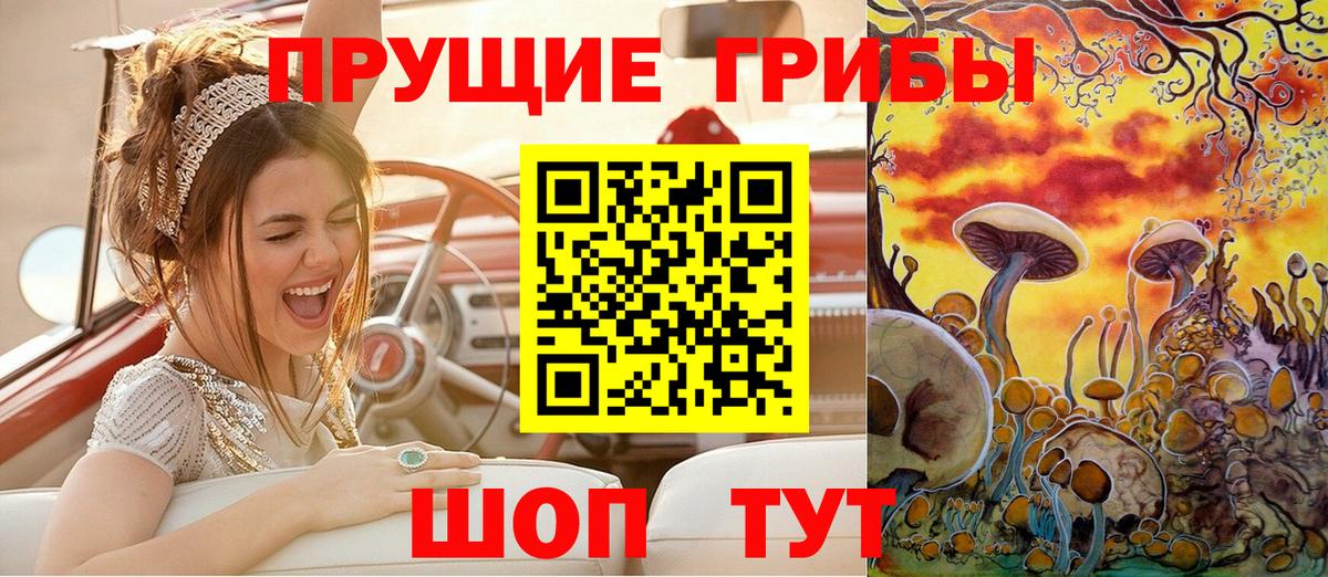 Галлюциногенные грибы прущие грибы Россия