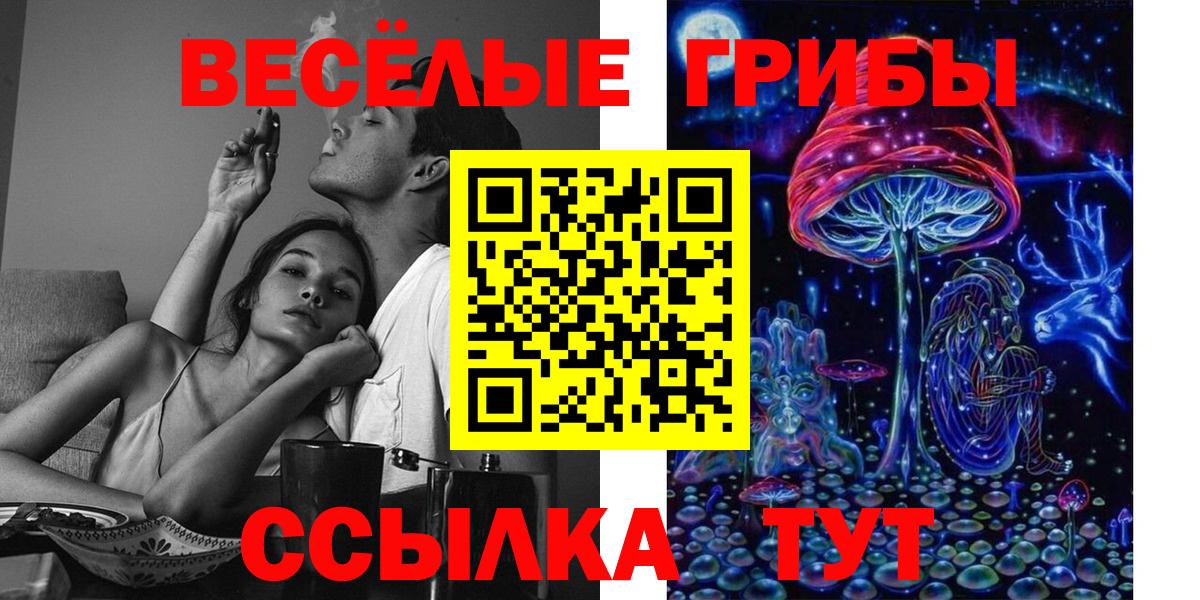 Галлюциногенные грибы прущие грибы Россия