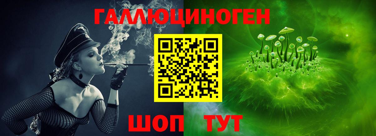 Псилоцибиновые грибы Cubensis  Галлюциногенные грибы прущие грибы  Россия  Вход с VPN 