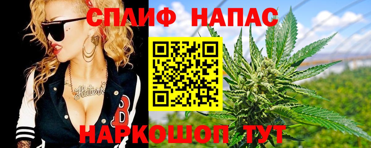 Бошки марихуана Ganja  Канабис тримм  Вход с VPN  Россия  Конопля гибрид 