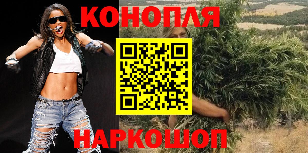 Конопля планчик Россия
